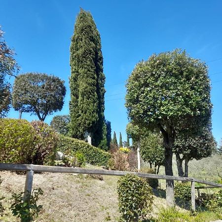 Villetta Dei Lecci Castelfiorentino Exteriör bild