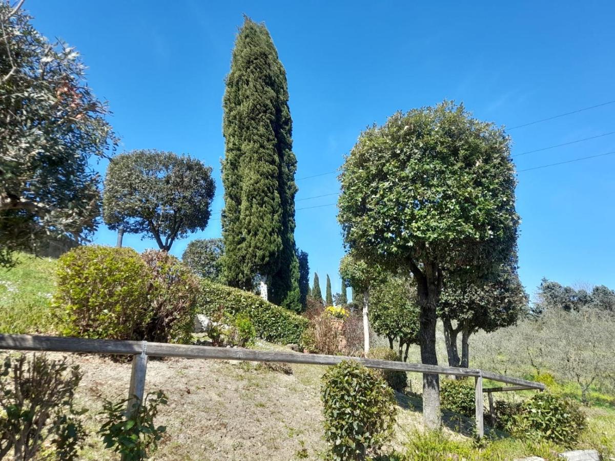 Villetta Dei Lecci Castelfiorentino Exteriör bild